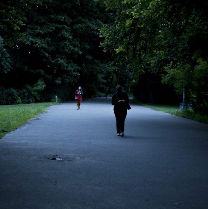 Lange Projektbeschreibung The Strange Half-Absence of Wandering at Night